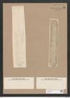 Navicula gentilis Donk. (de-Toni-Nr.: Genus 1, Species 6) Zeichnungen Sammlung Grunow Nr. 23 (NHMW-BOT-W0366206)